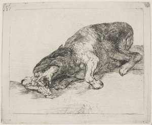 Una bestia salvaje (81) de Francisco de Goya