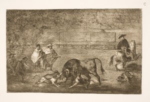 Los perros atacan al toro de Francisco de Goya