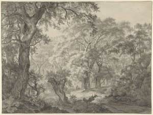Paisaje forestal de Franciscus Andreas Milatz