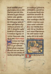 Un erizo de un bestiario Ms Ludwig XV 4, fol. 82, c.1280-1300 de Franco Flemish School