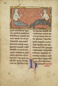 Una sirena y un centauro de un bestiario Ms Ludwig XV 4, fol. 81v, c.1280-1300