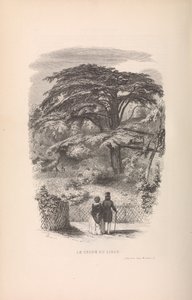 El Jardín de las Plantas, Descripciones y Costumbres de los Mamíferos, 1842