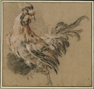 Estudio de un gallo de François Boucher