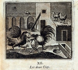 Ambos gallos. Fábulas de Jean de La Fontaine (1621-95). Ilustración de François Chauveau (1613-1676). Edición de 1728 de Francois Chauveau
