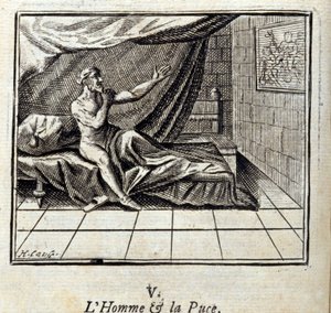 El hombre y la pulga. Fábulas de Jean de La Fontaine. Ilustración de François Chauveau. Edición de 1728. de Francois Chauveau