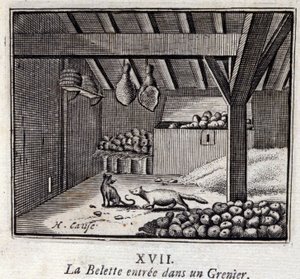 La comadreja entró en un granero. Fábulas de Jean de La Fontaine. Ilustración de François Chauveau. Edición de 1728.