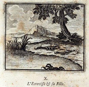 La cigarra y su hija. Fábulas de Jean de La Fontaine (1621-95). Ilustración por François Chauveau (1613-1676). Edición de 1728.