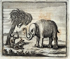 El elefante y el mono de Júpiter. Fábulas de Jean de La Fontaine (1621-95). Ilustración de François Chauveau (1613-1676). Edición de 1728
