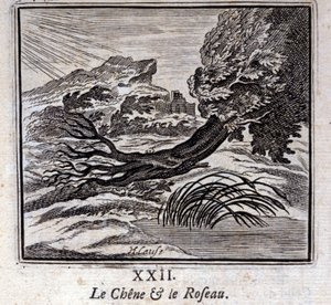 El roble y el junco. Fábulas de Jean de La Fontaine. Ilustración de François Chauveau. Edición de 1728. de Francois Chauveau