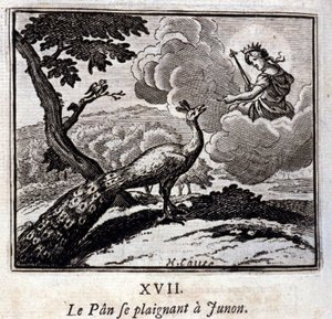 El pavo real quejándose a Juno. Fábulas de Jean de La Fontaine. Ilustración de François Chauveau. Edición de 1728. de Francois Chauveau