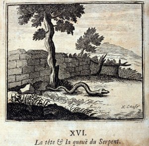 La cabeza y la cola de la serpiente. Fábulas de Jean de La Fontaine (1621-95). Ilustración por François Chauveau (1613-1676). Edición de 1728. de Francois Chauveau