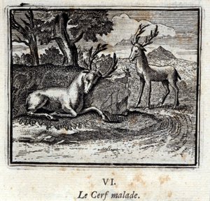El ciervo enfermo. Fábulas de Jean de La Fontaine (1621-95). Ilustración de François Chauveau (1613-1676). Edición de 1728. de Francois Chauveau