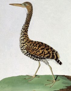 Honor de Francois Nicolas Martinet