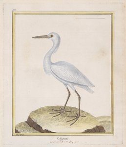 La Garceta de Francois Nicolas Martinet