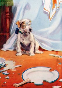 Perro con plato roto
