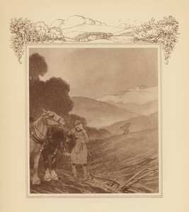 Ilustración para Gray