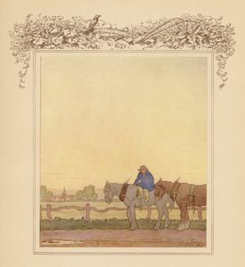 Ilustración para Gray