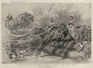 El Circo de Wulff en el Crystal Palace, la Caza del Jabalí