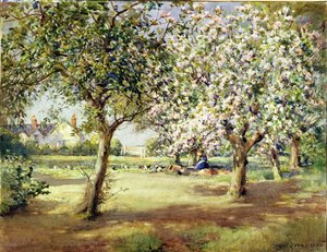 Días de florecimiento de Frank Dean