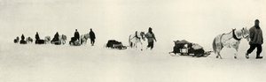 Ponis en marcha, 1911, 1913