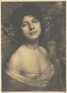 Hortensia de Frank Eugene