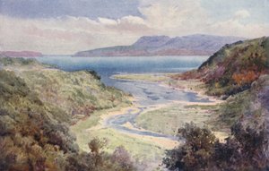 Nueva Zelanda: Lago y Monte Tarawera (litografía en color) de Frank H Wright