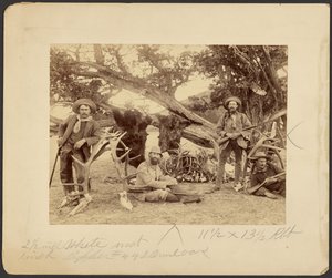 Fiesta de Lispenard Stewart, #6 - 5th Ave., N.Y. con trofeos junto a un viejo cedro, Mammoth Hot Springs, Parque Nacional de Yellowstone de Frank Jay Haynes