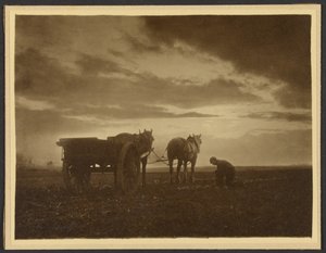  de Frank Meadow Sutcliffe