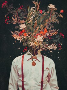  de Frank Moth