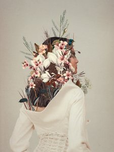  de Frank Moth