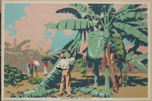 Cortando plátanos en Jamaica (litografía en color) de Frank Newbould