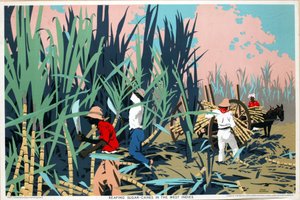 Cosecha de la caña de azúcar en las Indias Occidentales (litografía en color) de Frank Newbould
