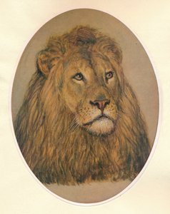 Cabeza de león, c. 1896 de Frank Paton