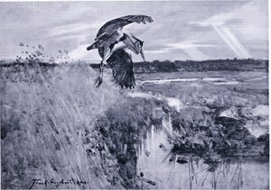 Jack Harnser-Heron de Frank Southgate
