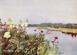Norfolk Broads: Un banco de Bure de Frank Southgate