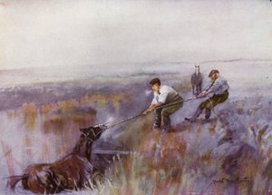 Norfolk Broads: Todo en un día de trabajo