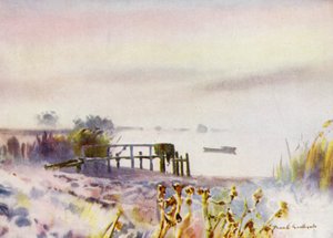 Norfolk Broads: Amanecer helado en Ormesby Broad de Frank Southgate