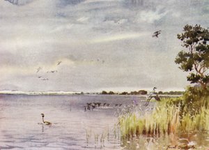 Norfolk Broads: Horsey Mere de Frank Southgate