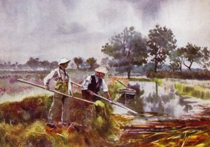 Norfolk Broads: Hombres de Marisma Levantando Maleza de Frank Southgate