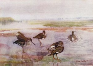 Norfolk Broads: Redshank de Frank Southgate