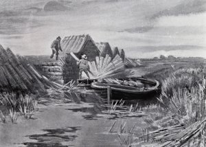 Norfolk Broads: Apilamiento de cañas (litografía) de Frank Southgate