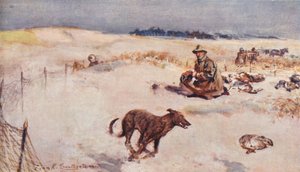 Vida salvaje en East Anglia: Rabbiting in Breckland (litografía en color) de Frank Southgate