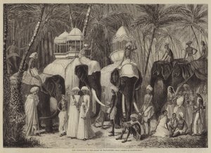 Los elefantes del Rajá de Travancore de Frank Vizetelly