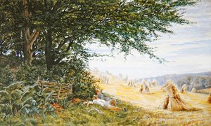 Pareja descansando bajo un árbol en un campo de maíz de Frank Walton