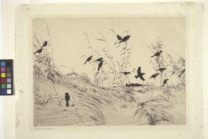 Blackbirds And Rushes (tinta sobre papel)