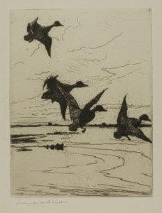 Patos Aterrizando de Frank Weston Benson