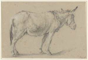 Burro de pie, a la derecha de François Boucher (possibly)