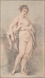 Chica desnuda de pie
