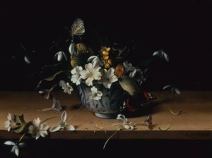 Flores en un cuenco de porcelana china azul y blanca con una mariposa almirante roja sobre una cornisa de madera (óleo sobre tabla) de François Habert
