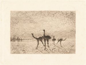 Avestruces en el desierto de François Nicolas Auguste Feyen Perrin